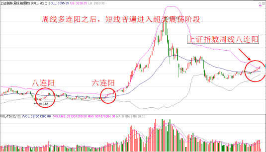 明天，你必须做出一个不得已的决定！