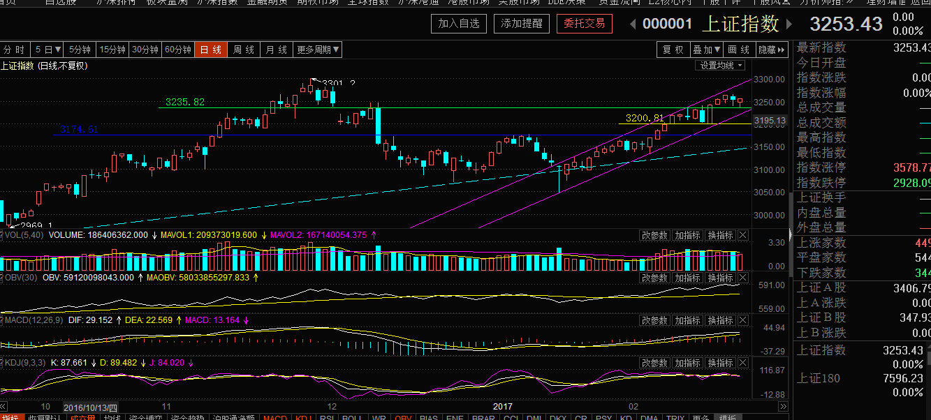 监管+IPO