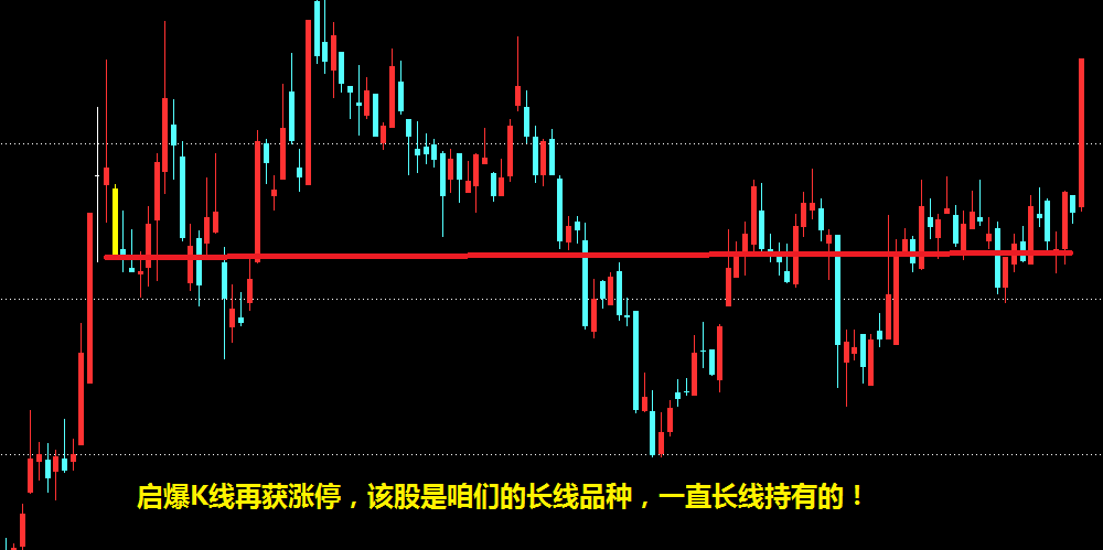 创业板龙头有望在周一出大动作！——3.3收评