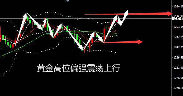 陈峻齐：黄金震荡偏强待回调继续看涨