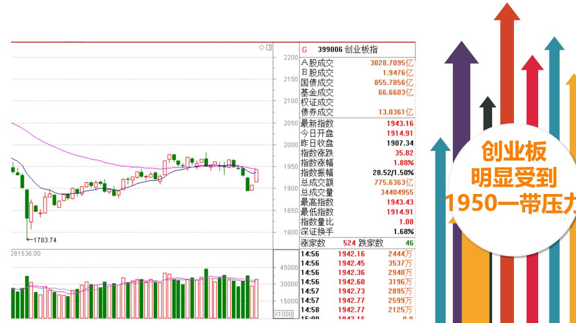 但见新人笑，那闻旧人哭