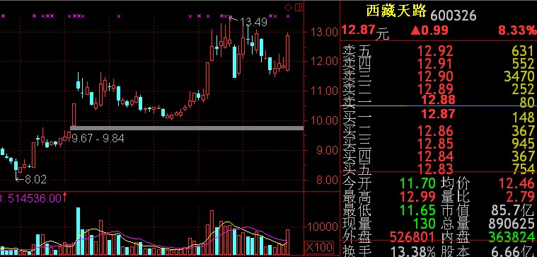 基础教学篇----趋势票盘中主动出击法