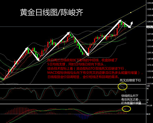 陈峻齐：黄金再遇砸盘 短线高空为主低多为辅