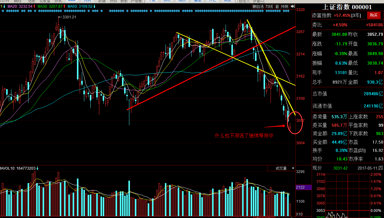 5.11午评：