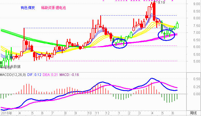 能否成为牛股？6月17日上海粉丝见面会详细分析