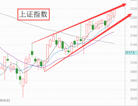 风险和机会