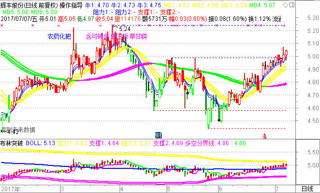 002496 辉丰股份 分析