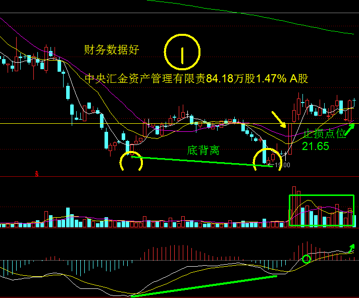 创业板转头多头向上，优质成长股回调入场！