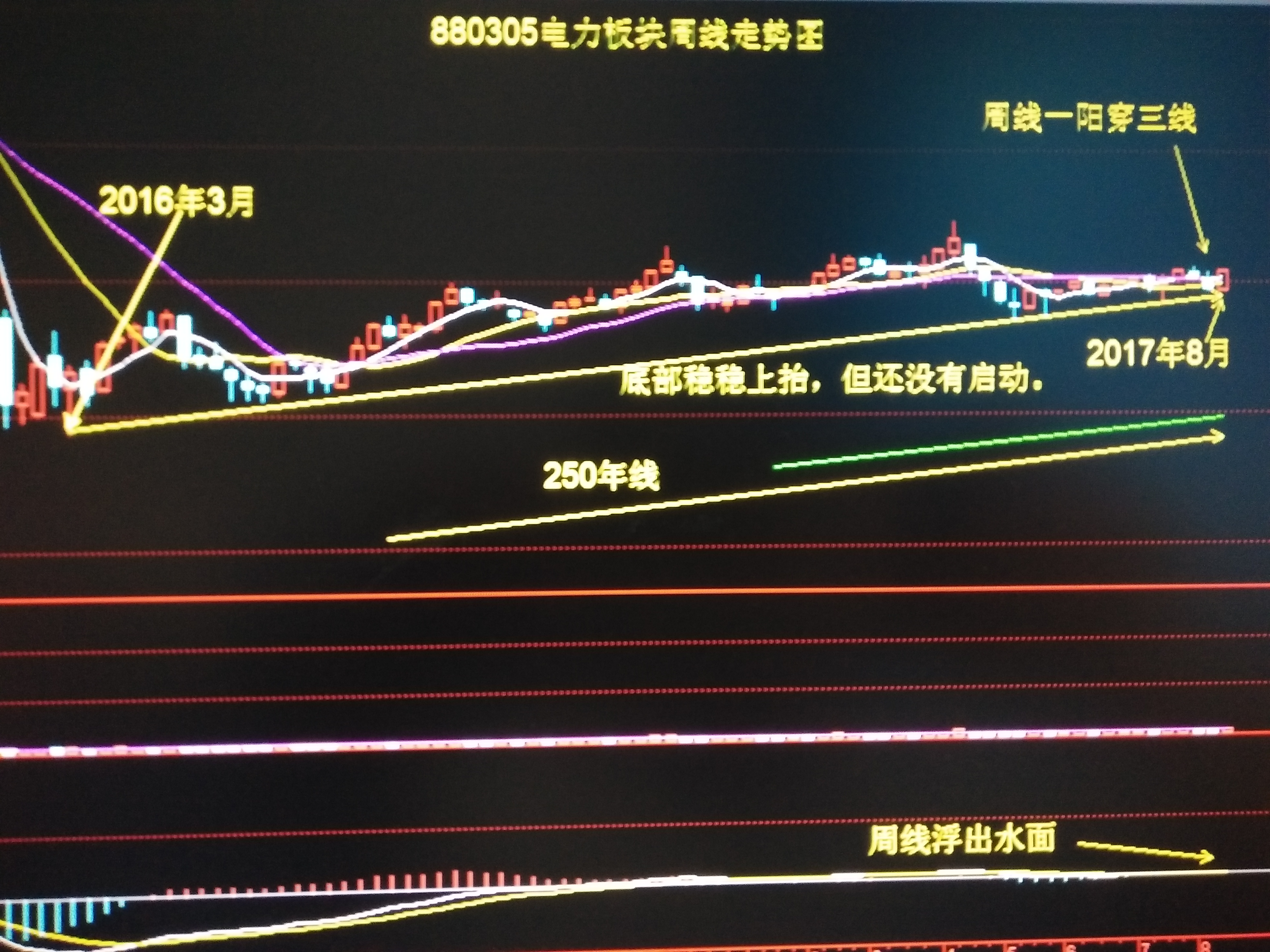 分清敌我，不要盲从。