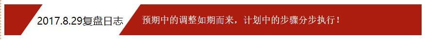 2017.8.29复盘日志：预期中的调整如期而来，计划中的步骤分步执行！