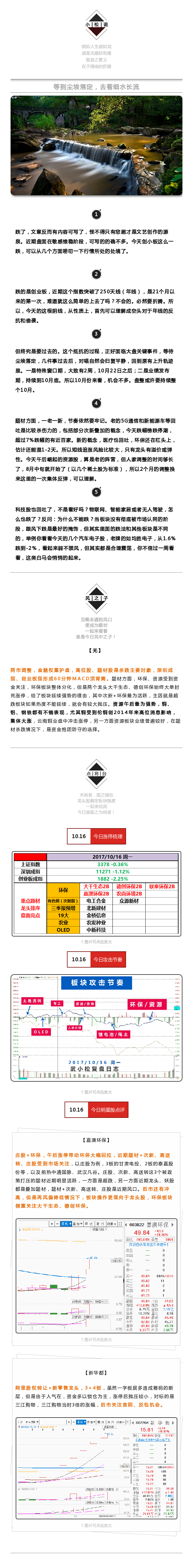 等到尘埃落定，去看细水长流