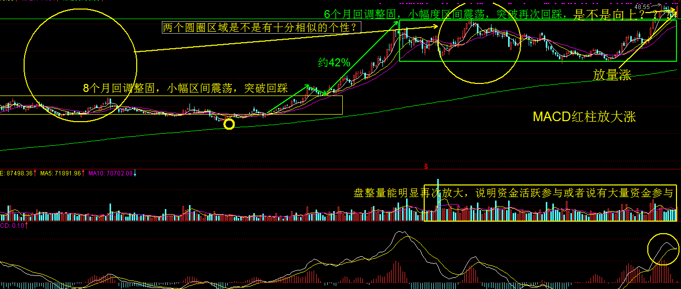 （牛股）发令枪已经打响，看高不高不用慌！