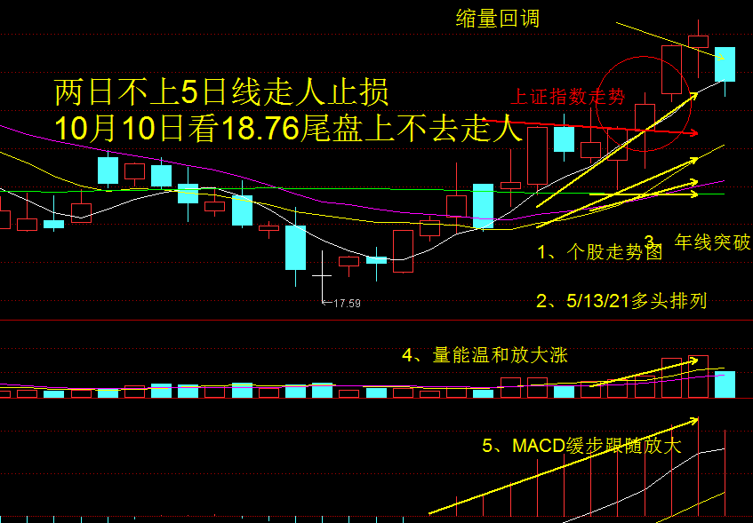 独立行情二标的今日翻绿，回调入场好机会；爱玩的一起继续玩吧！