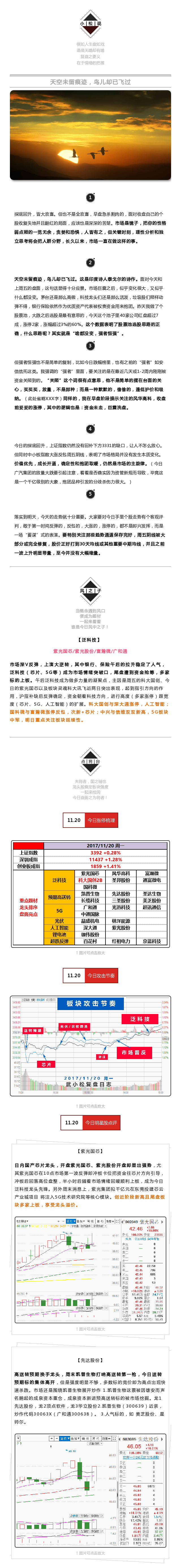 天空未留痕迹，鸟儿却已飞过