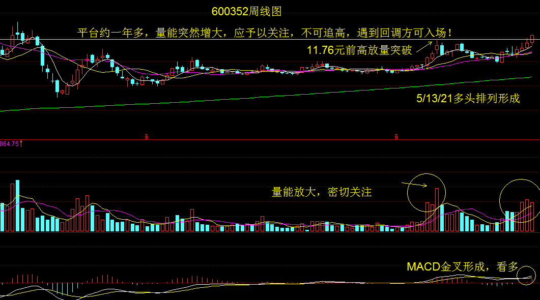 前高支撑若不破，理应做多不放过