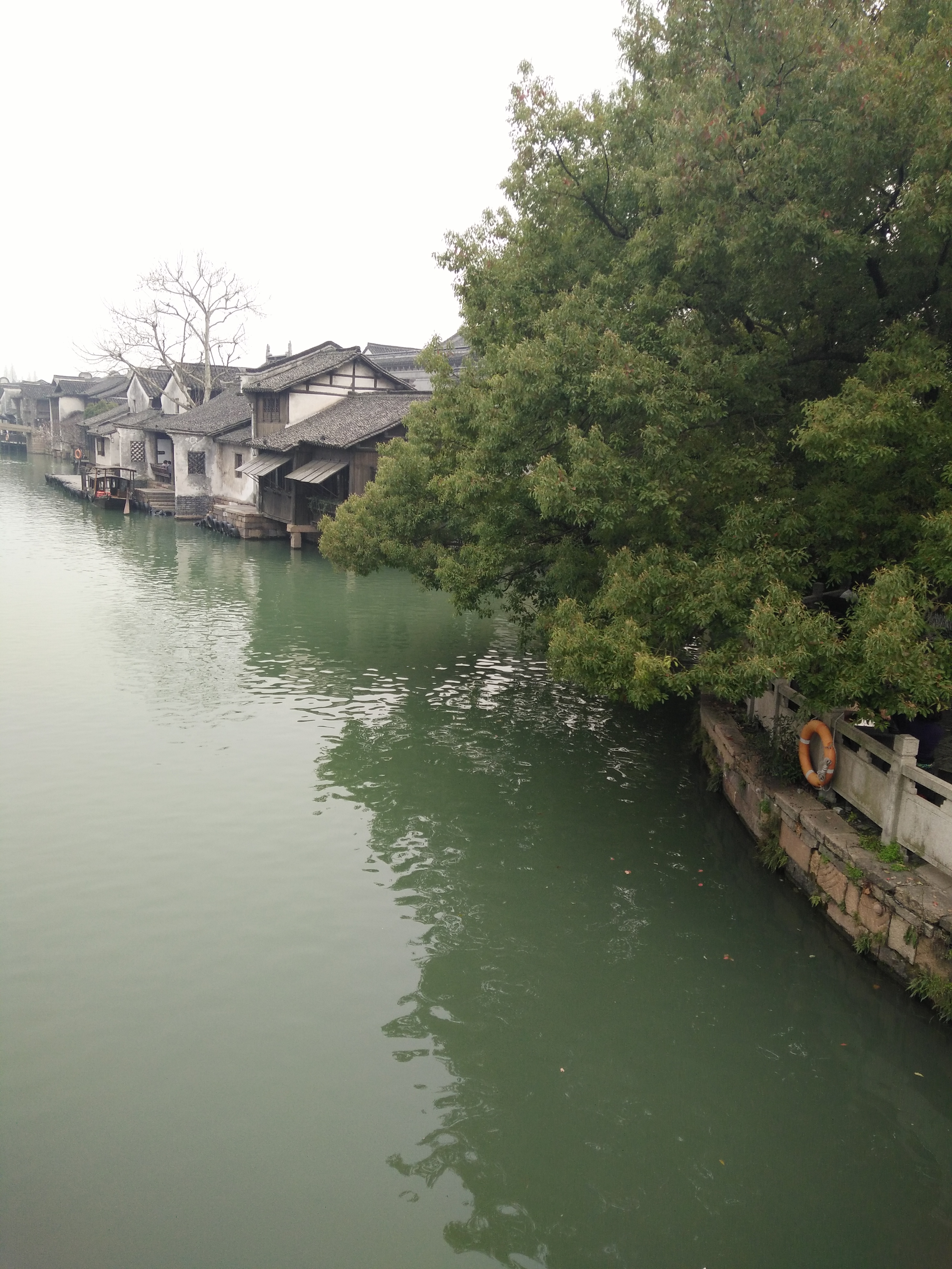 由沪到杭乌镇一日游