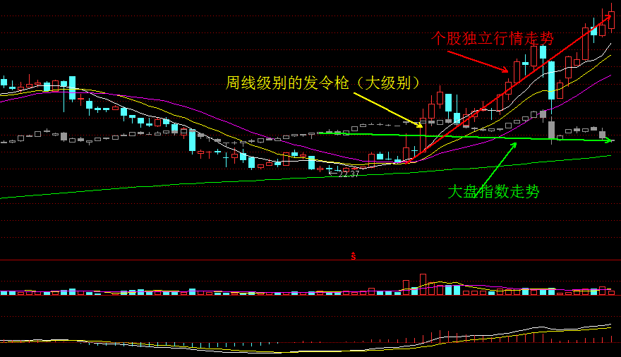 独立行情