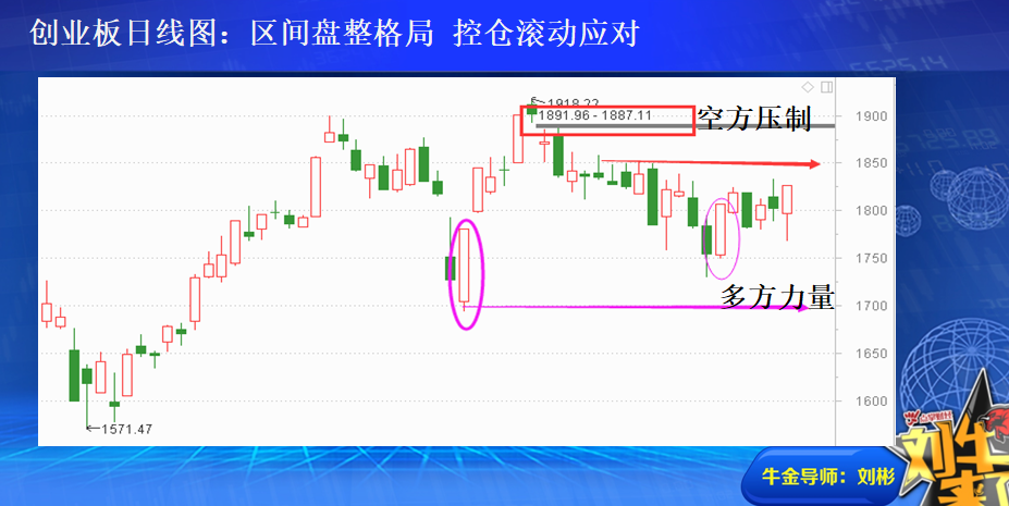 反复夯实底部 静待全面反弹