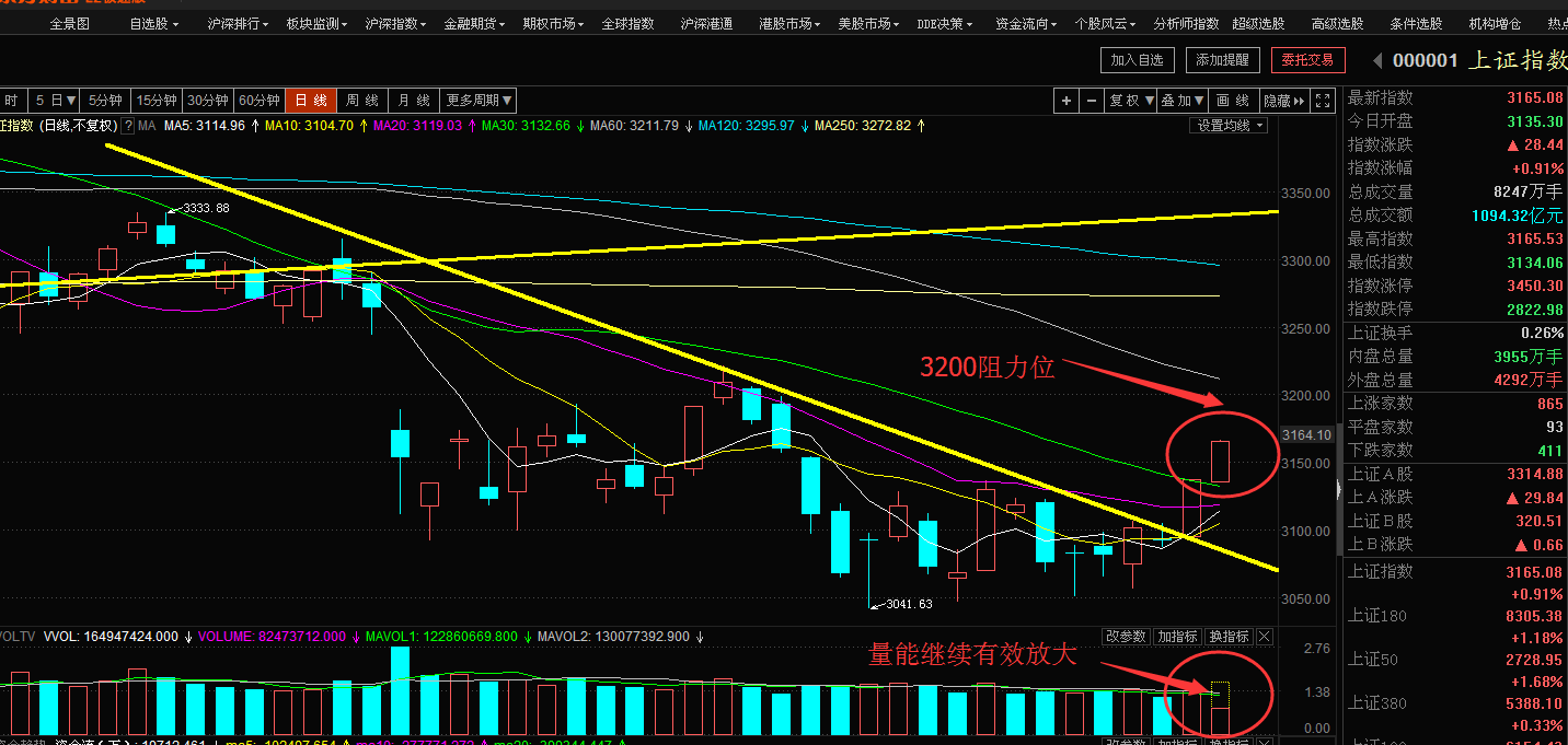 5.8日午评：