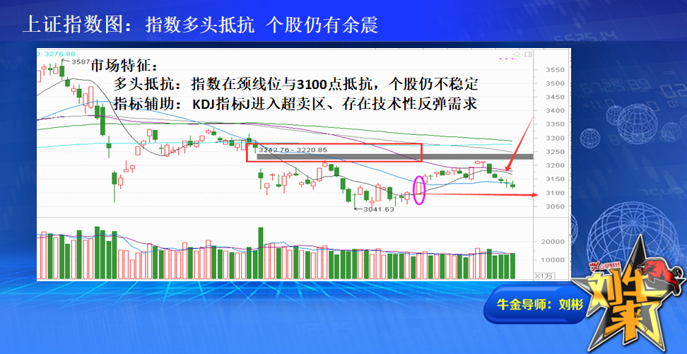 物竞天择 适者生存