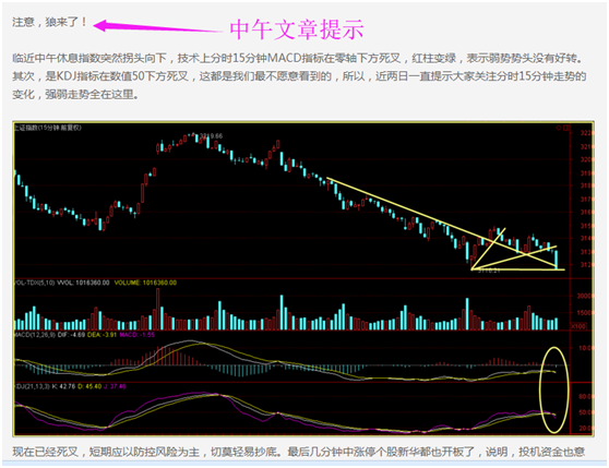 资金掉头，它们会将再起！