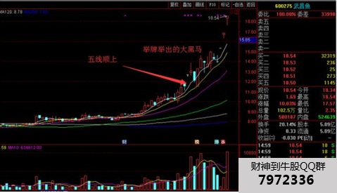 史上最简单的抓黑马方法