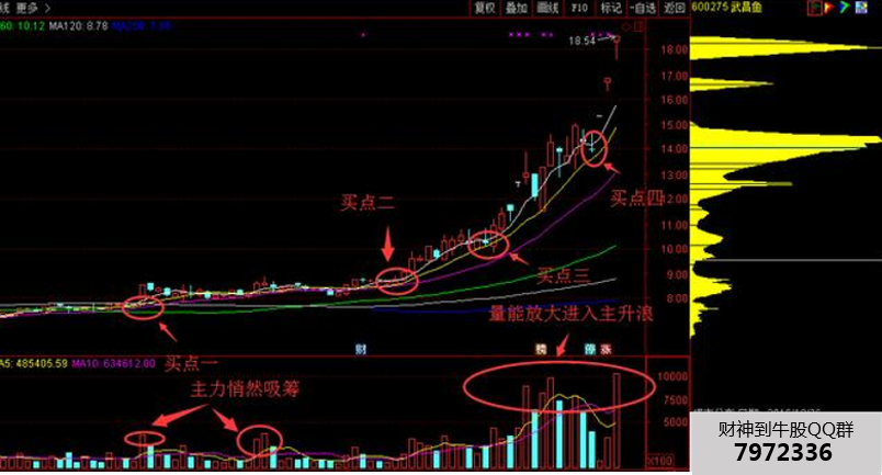 史上最简单的抓黑马方法