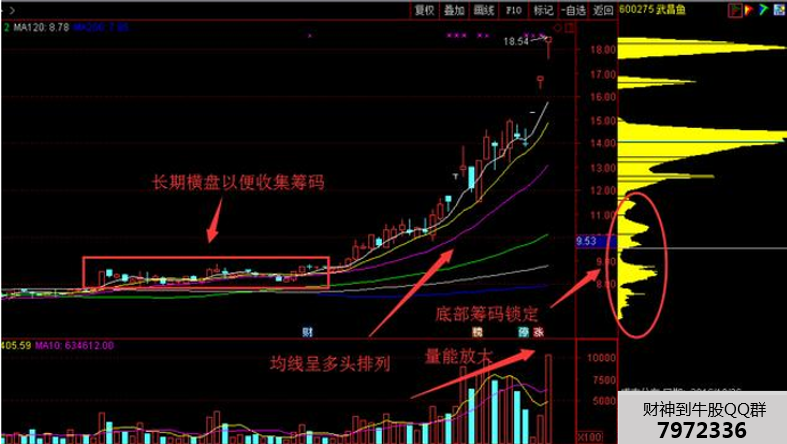 史上最简单的抓黑马方法