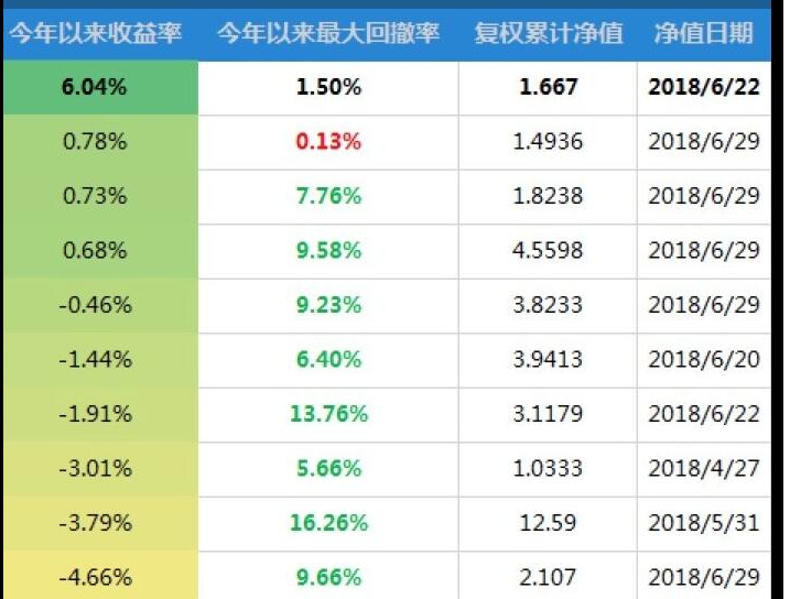 百亿级基金上半年表现