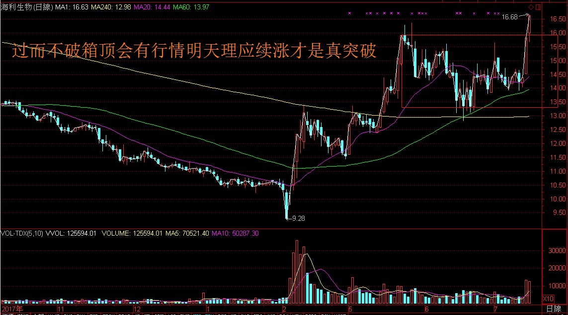 不要小看没有涨停却天天涨不停的股