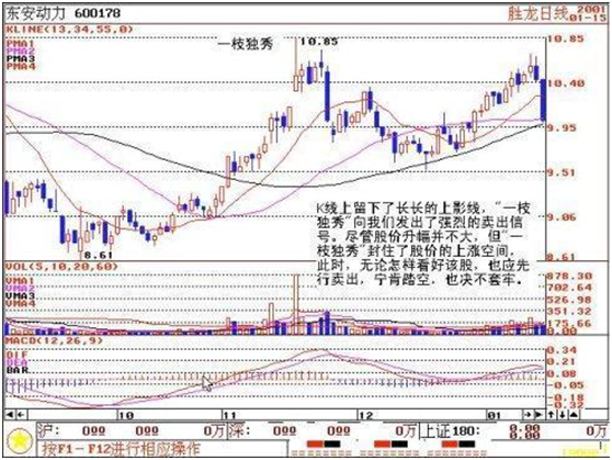 三十年民间股神屡试不爽的 “一枝独秀”战法大揭秘