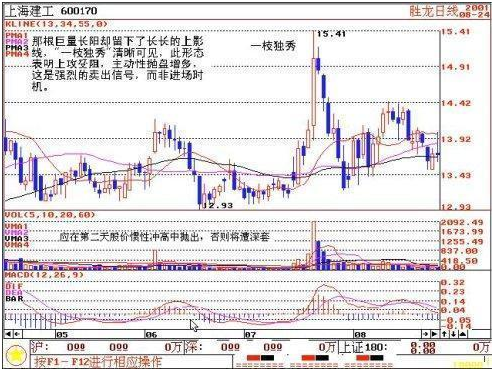 三十年民间股神屡试不爽的 “一枝独秀”战法大揭秘