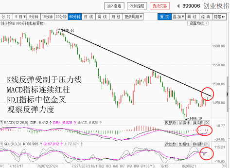 还是反弹，观察力度（20180823收盘聊聊吧）