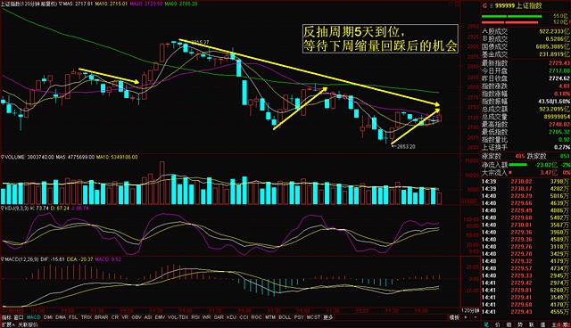 反抽周期到位，等待下周缩量回踩后的机会