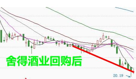 申朝武：总有人想骗散户救市