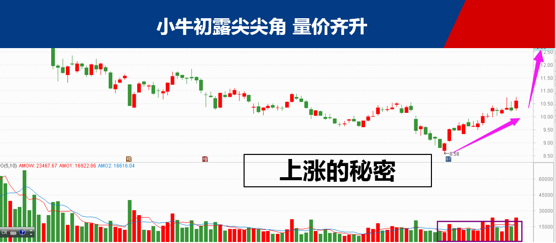 即将拉升股票名单