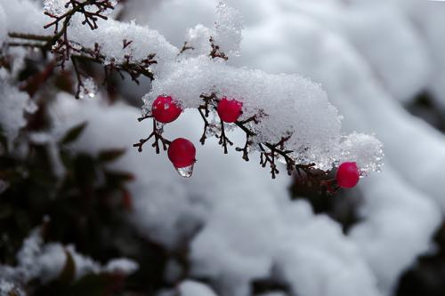 如初冬的第一场雪，调整来的恰逢其时