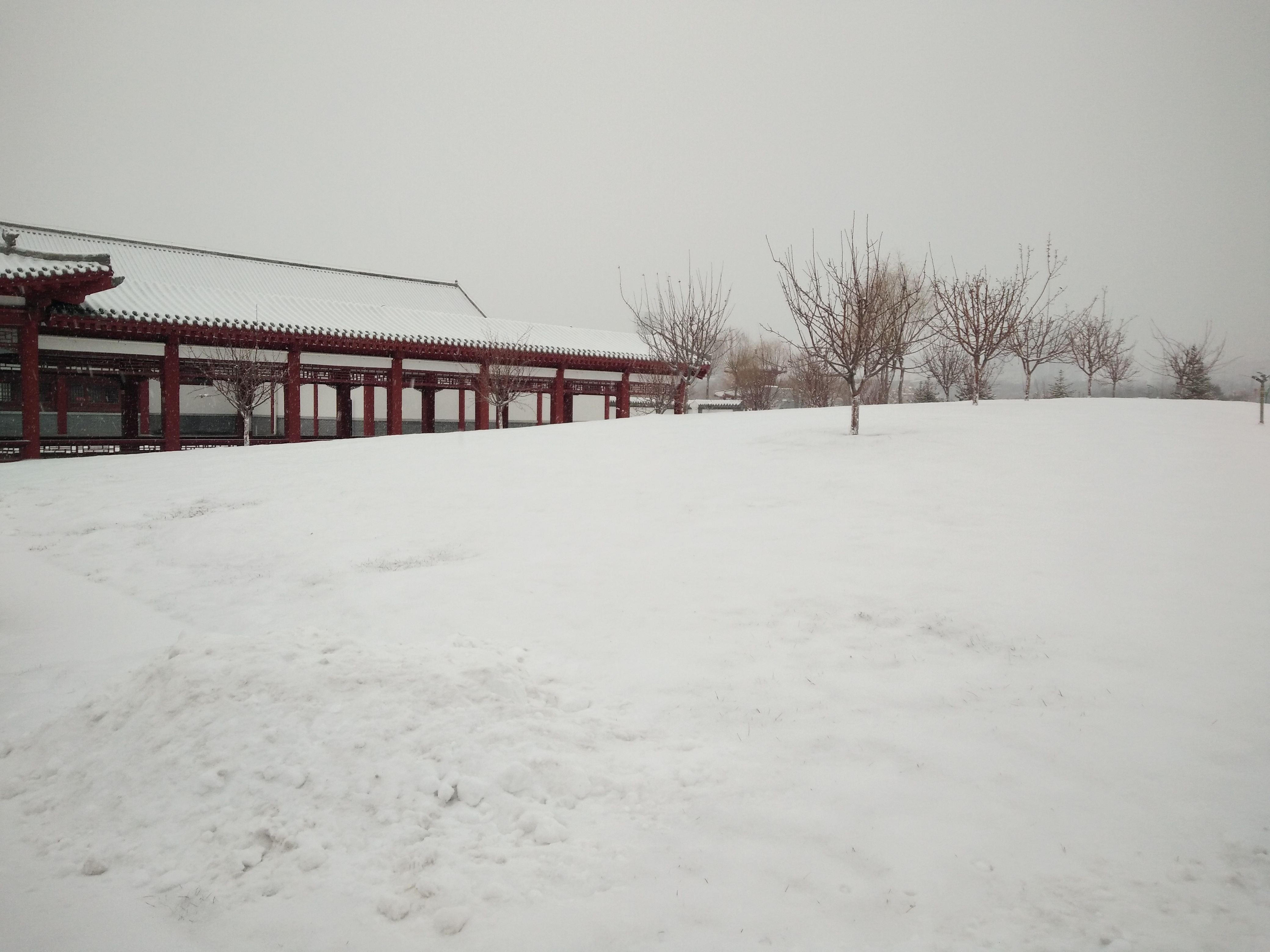 瑞雪兆丰年，健康加环保