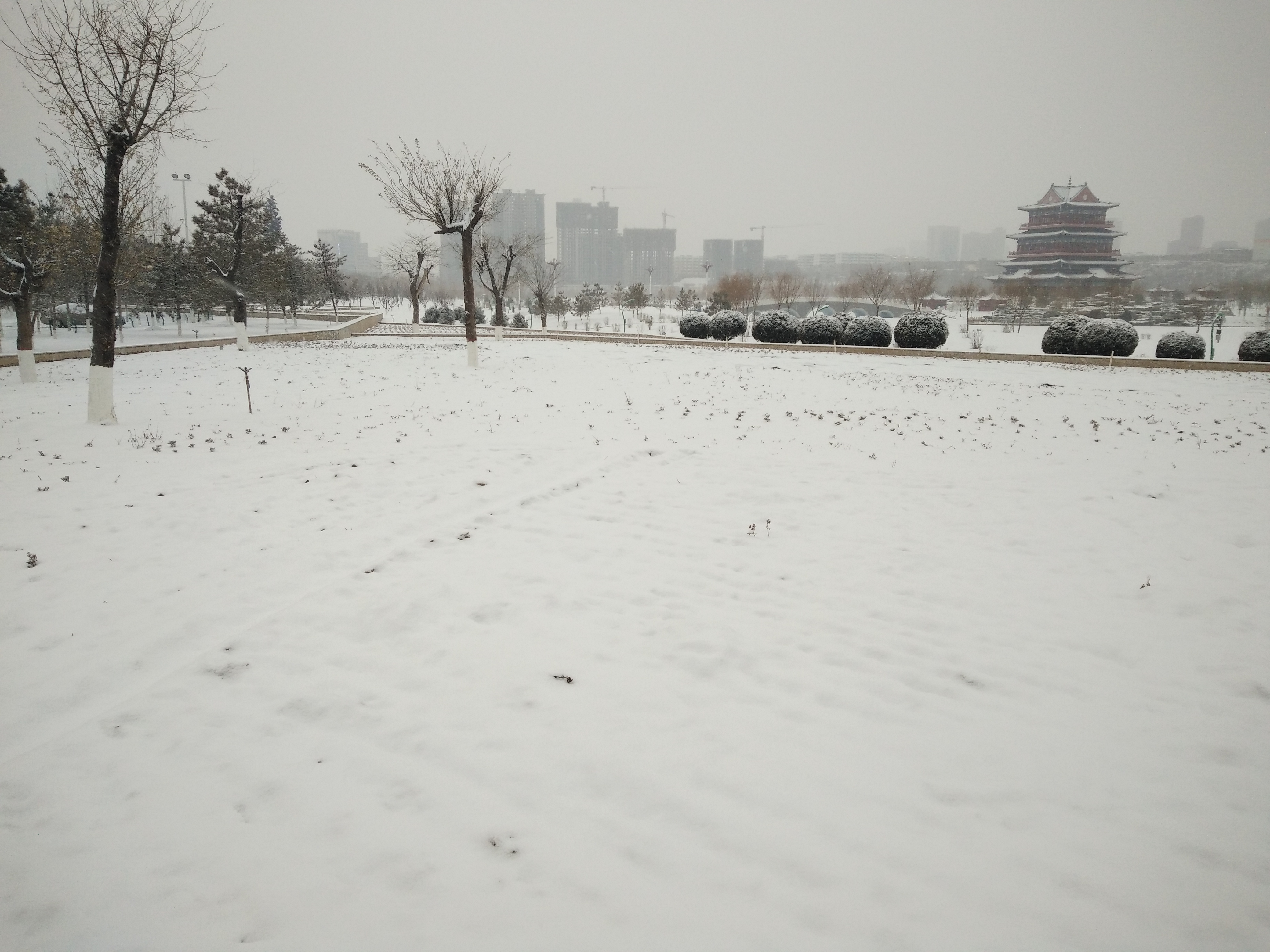 瑞雪兆丰年，健康加环保