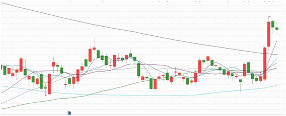 冲高回落不改继续反弹，两只潜力股已突破年线