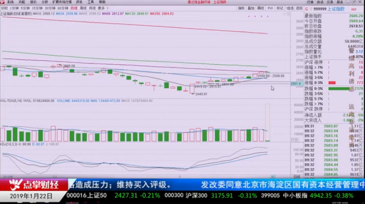 【观点】刘彬：不管新股民还是老股民，做好两点，2019年必然赚钱