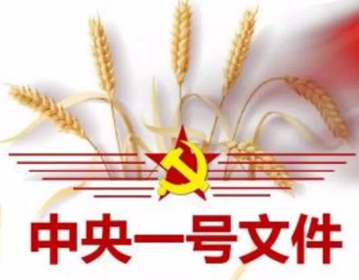 刚刚中央一号文件来了八个小目标这一领域将迎巨变