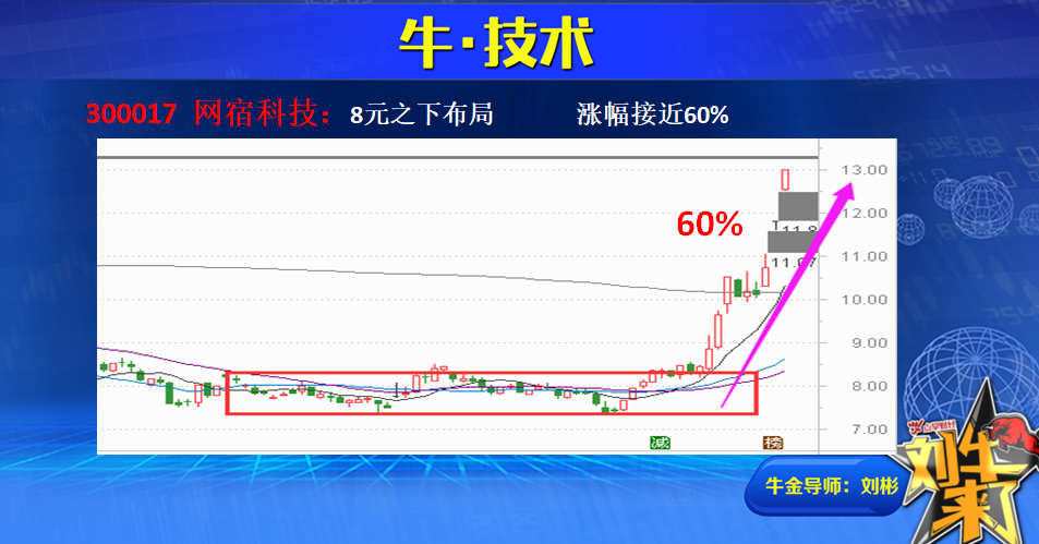 歪打正着之网宿科技