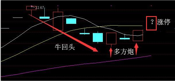 【投资观点】豺狼虎豹不光看起来可怕