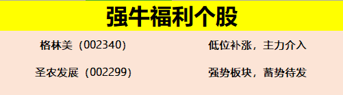 【策略】结构性行情下，这两大板块要重点关注！！