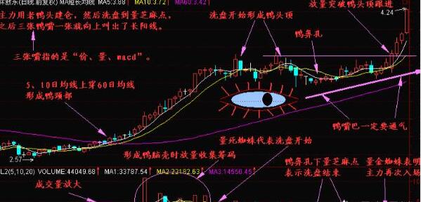 如何利用老鸭头K线战法选股抓取大牛股？