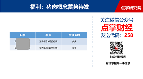 猪肉概念卧龙蛰伏，蓄势待发！