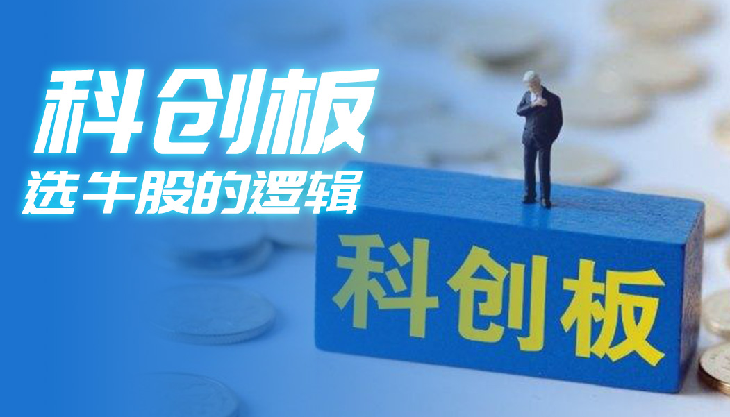 科创板选牛股的逻辑