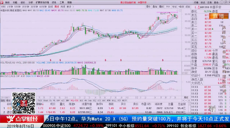 【观点】杨炜华：一体两翼把握今年重点板块！