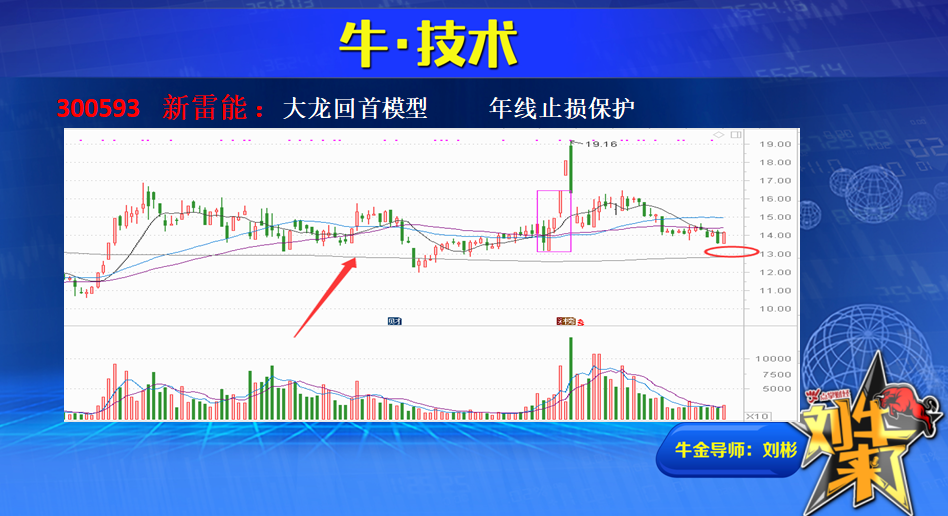 回顾大龙回首之新雷能